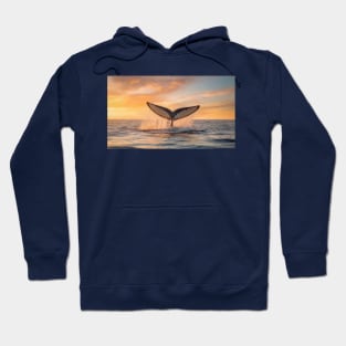 Whale tail splashing Hoodie